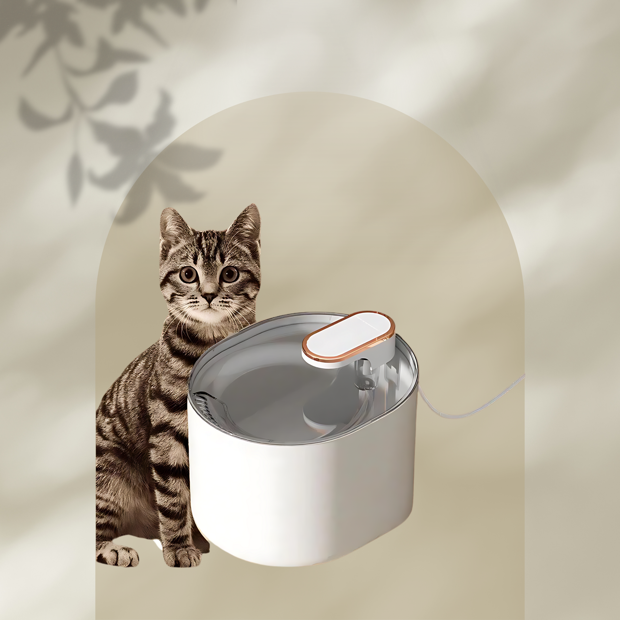 3L Pet Automatic Water Fountain with LED Light